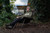  Solar Worldwide Couch Chair 