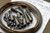  Korda Basix Lead Clip Action Pack 