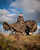 Fox International Fox Large Camolite Barrow Cover 