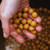 Dynamite Baits Dynamite Peppered Fruit 1kg Boilies 