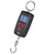  Daiwa DVEC Digital Scales 