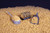 Dynamite Baits Dynamite Big Fish Ready Feeder Pellets - Garlic 
