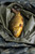  Korum Supa Lite Camo Fishcare Set 