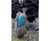 Preston Innovations Preston Drifish All Terrain Trainers 