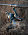 Fox EOS 8000 FS - Hooked Tackle