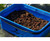 Preston Innovations Preston Supera X 1.5 Litre Ventamesh Tub 