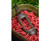  Korum Window Maggot Feeders 