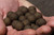  Elevate Baits Garlic Infusion Boilies 15mm 20kg Bulk Box 