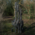 Solar Tackle Worldwide 12ft Single Sleeves - Hooked Tackle
