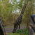 Solar Tackle Worldwide 10ft  3+2 Rod Holdall - Hooked Tackle