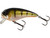  Westin Fatbite Crankbait 5.5cm - Bling Perch 