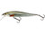 Westin Jerkbite SR Jerkbait 9cm - Real Roach - Hooked Tackle