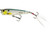 Westin Spot On Popper 6.5cm - Silver Arrow - Hooked Tackle
