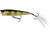  Westin Spot On Popper 6.5cm - Real Perch 