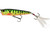 Westin Spot On Popper 6.5cm - Firetiger Flash - Hooked Tackle