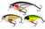  Westin Babybite SR Crankbaits - 6.5cm 