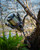 Fox EOS FD 14K - Hooked Tackle