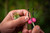 Korda ZR Hook Treatment  - Hooked Tackle