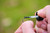 Korda ZR Hook Treatment  - Hooked Tackle