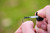  Korda ZR Hook Treatment 