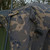  Solar Worldwide Quick Up Shelter XL 