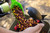  Korda Bait Scoop 