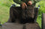 Solar SP C-Tech Handle Bar Bag main compartment open showing capacity