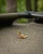Fox International Fox EOS MK2 - 1 Person Bivvy 