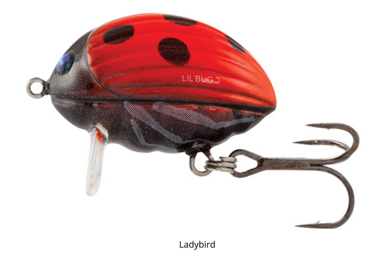 Salmo Lil Bug 3cm - Ladybird  Hooked Tackle