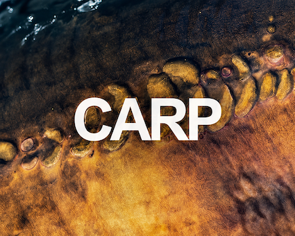 Carp Fishing Tackle
