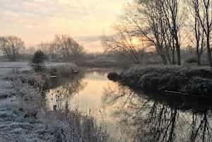Local fisheries near Newmarket