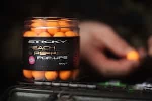 Spring carp fishing tips for 2026