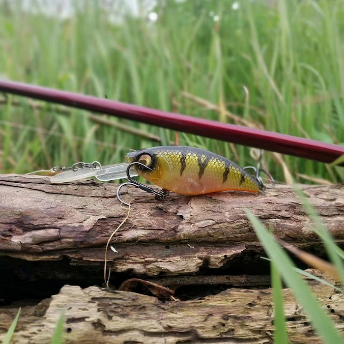 Spinners & Hard baits