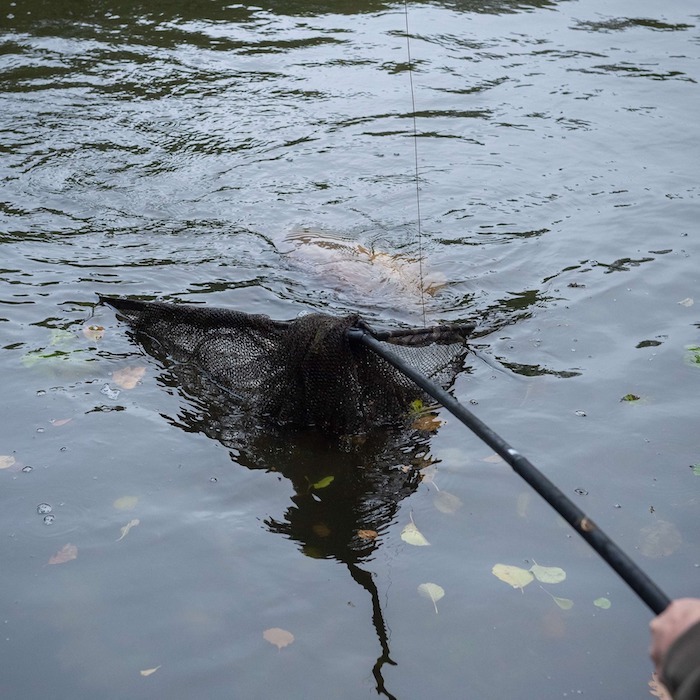 Landing Nets