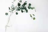 Eucalyptus Benefits for Skin, Hair, and More Eucalyptus Benefits for Skin, Hair, and More