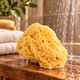 Natural sea sponge for gentle cleansing and everyday bathing