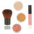 mineral makeup starter kit - fair to medium skin tone, includes choice of skin type foundation formula, 2 mineral foundation shades, blush with natural lipstick or lip gloss and choose your color, and a buki makeup brush