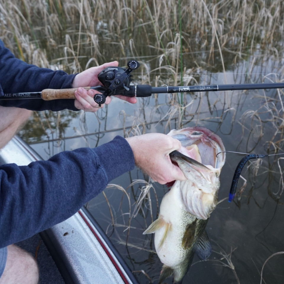 Spool Best Casting Reel For Light Lures Stunner Reels Fitzgerald