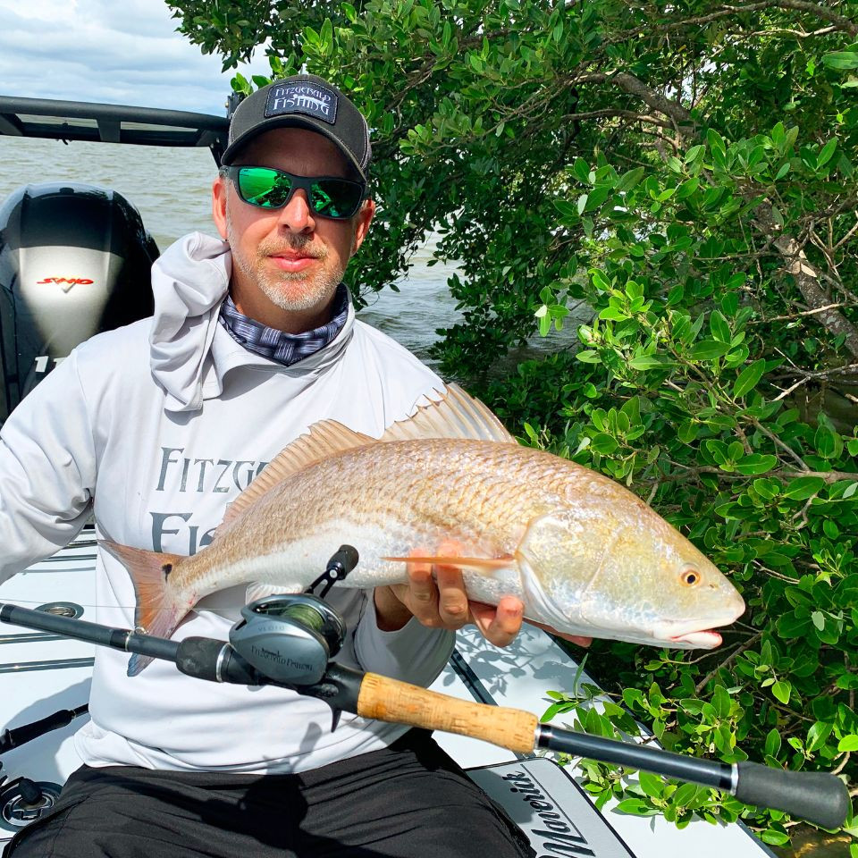 All Purpose Series