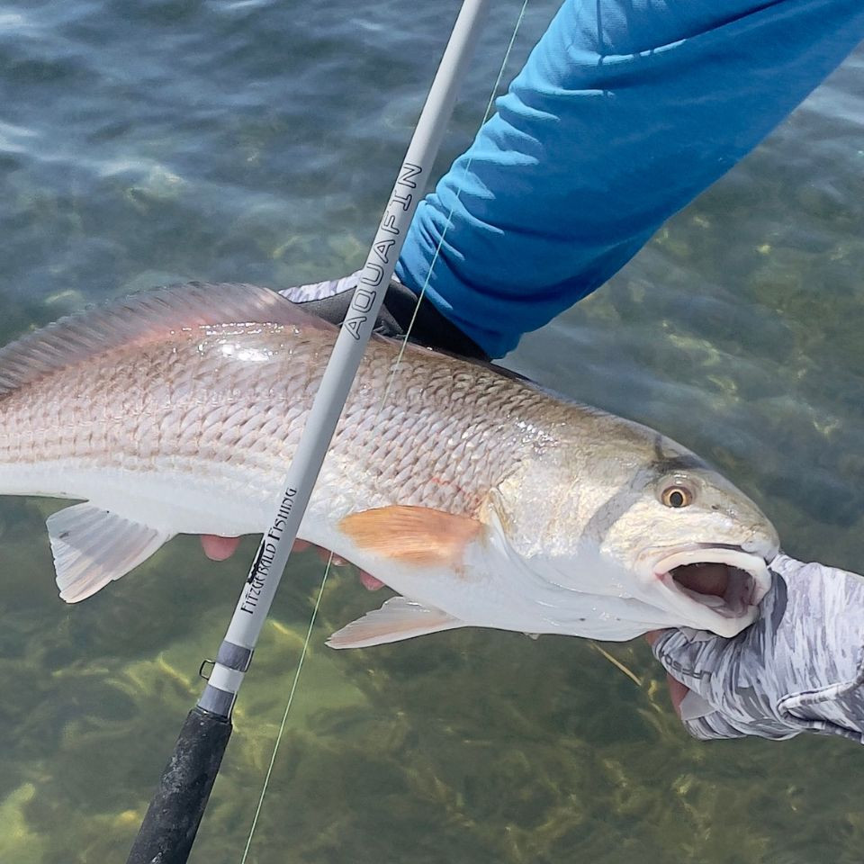 AquaFin Inshore Series