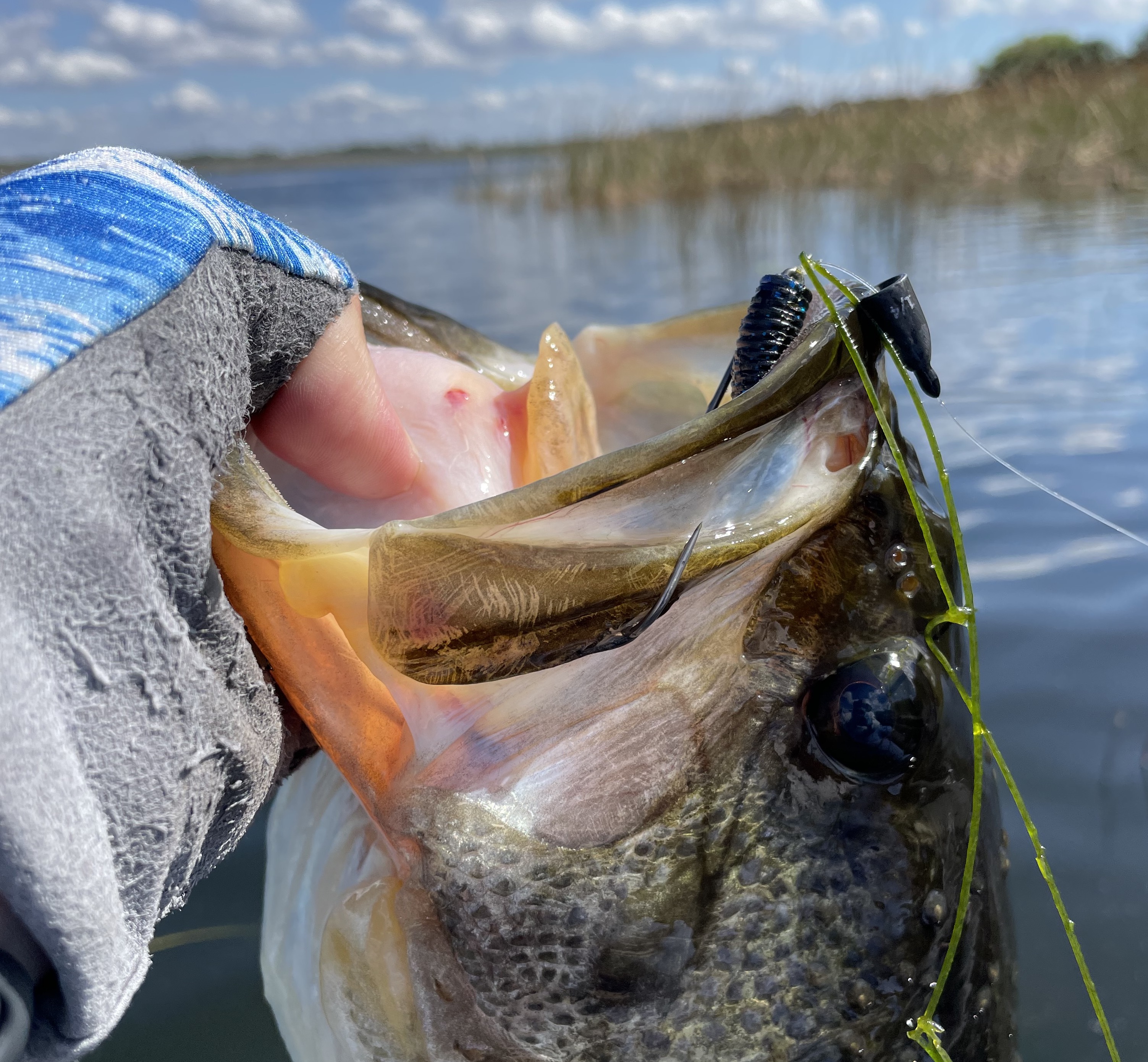 F.F. Tungsten Worm Weights 