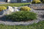 Calgary Carpet Juniper
