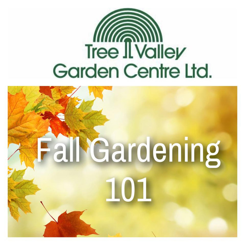 Fall Gardening 101