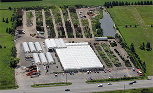 Tree Valley Garden Center Aerial