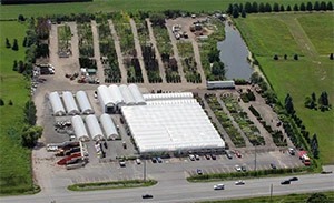 Aerial view of the Tree Valley yard in Stouffville: greenhouses, the garden centre and rows of trees and shrubs