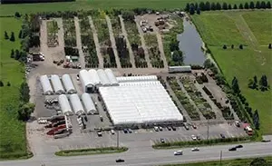 Aerial view of the Tree Valley yard in Stouffville: greenhouses, the garden centre and rows of trees and shrubs