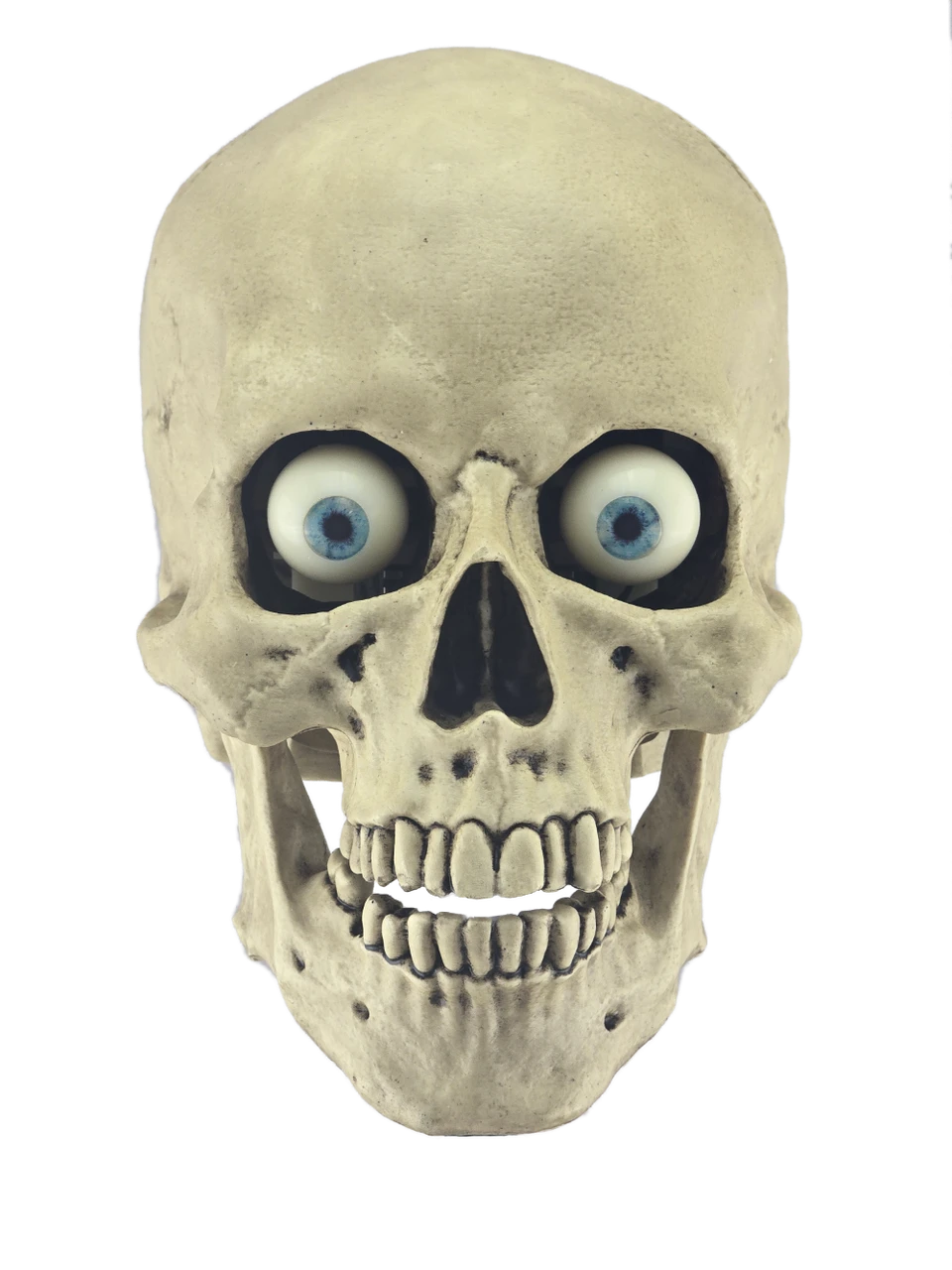 The Beast full motion talking skull
