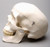 Harvey Skull 2nd Class