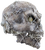 Harvester Skull