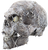 Harvester Skull